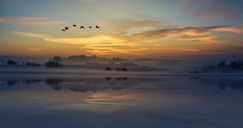 Les spots nature sauvages : sortir des sentiers battus