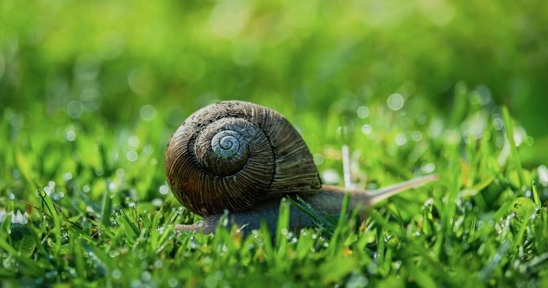 Séjours et bonnes adresses en Bourgogne : composer un itinéraire cohérent