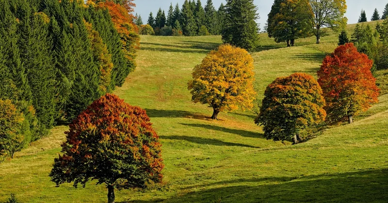 Quelle est la meilleure période pour visiter un parc national en France ?